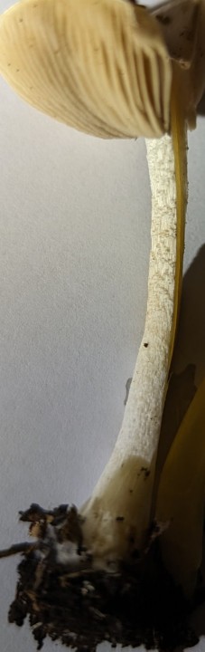 PXL_20231110_121750576.jpg