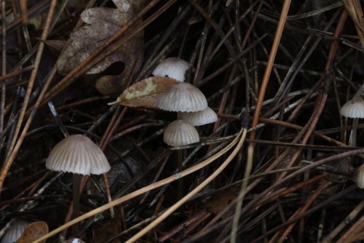 4X6A5498.JPG