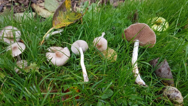 20231108_112622.jpg