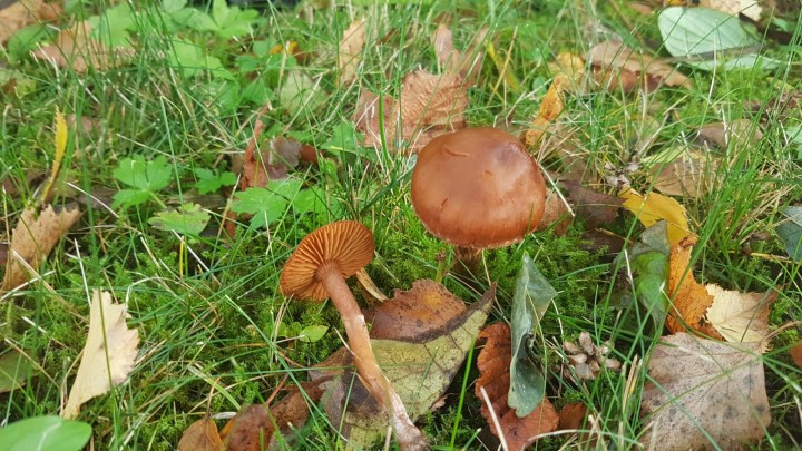 20231106_091246.jpg