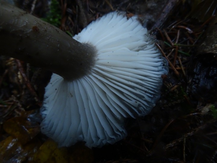DSC05498.JPG
