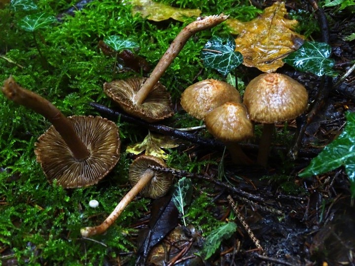 DSC05495.JPG