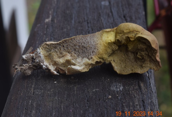 DSC_3813.JPG