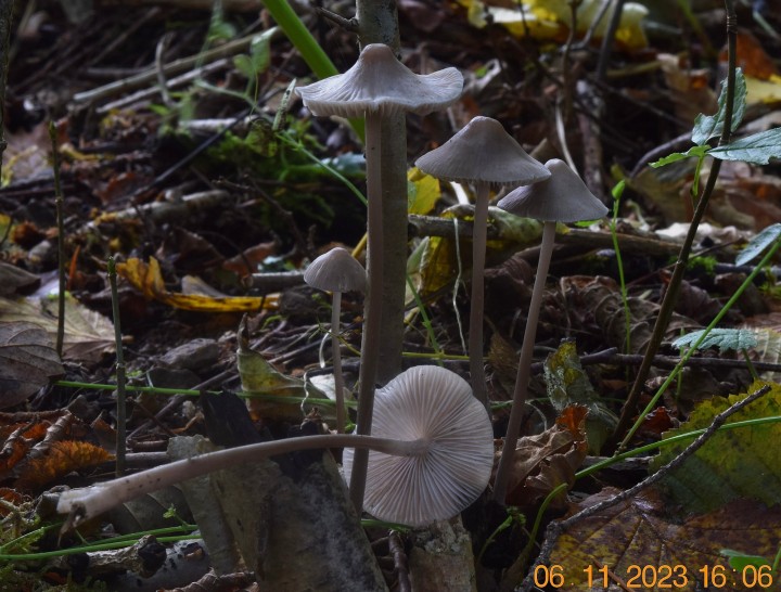 DSC_3753.JPG