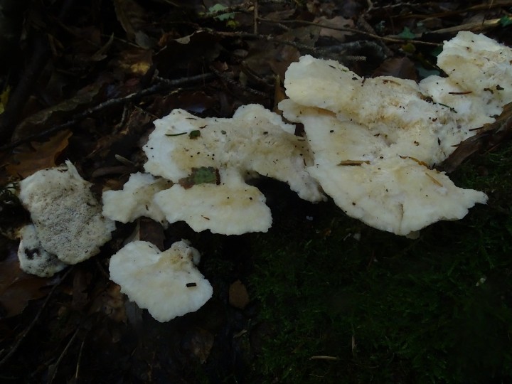 DSC05490.JPG