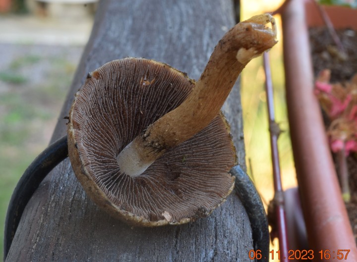 DSC_3760.JPG