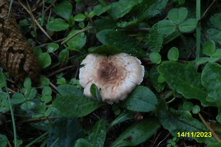 4X6A5551.JPG