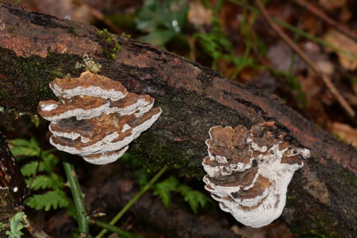 20231208_031.JPG