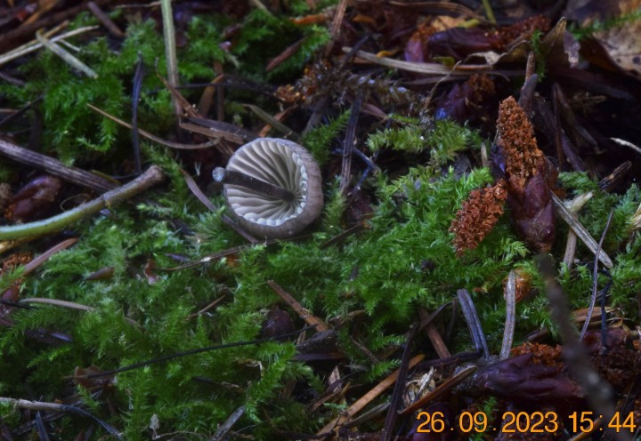 DSC_3659.JPG