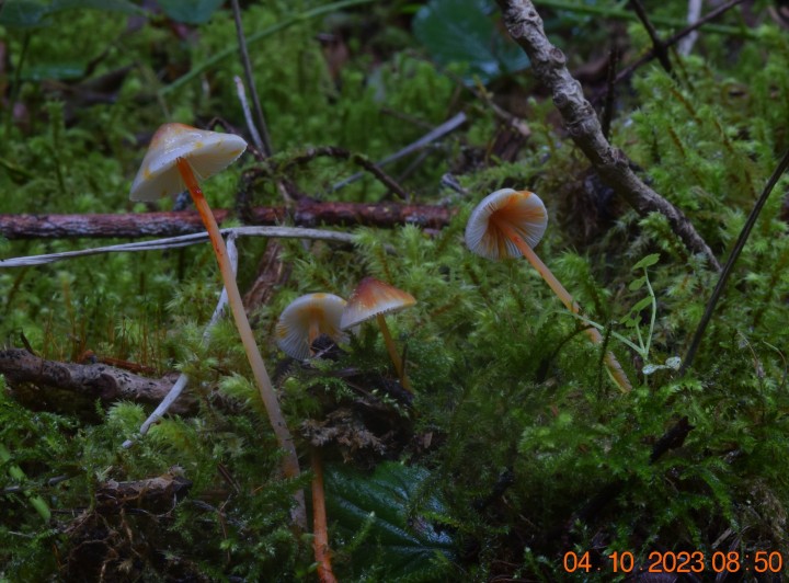 DSC_3696.JPG