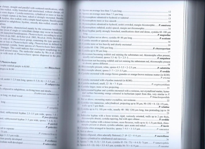 Cliquer sur l'image pour agrandir