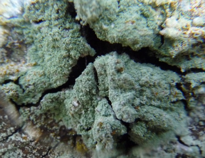 P1020140.JPG