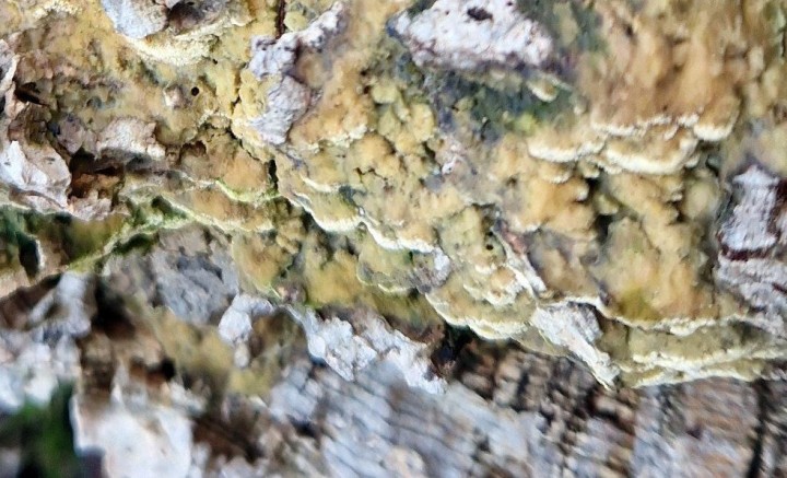 20240118_151458.jpg