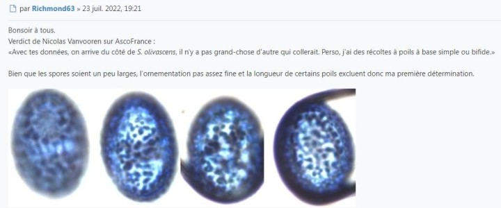 Capture1.JPG