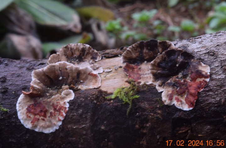 DSC_3861.JPG