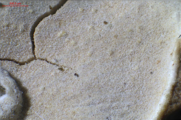 hym-021.jpg