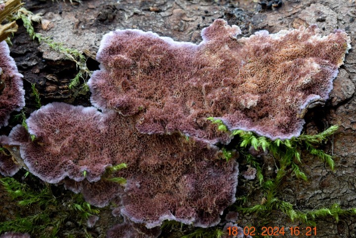 DSC_3867.JPG