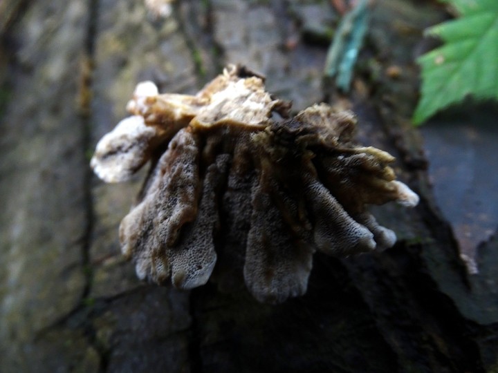 DSC05525.JPG