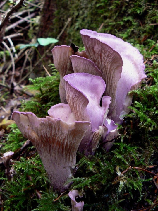 P1170536.jpg