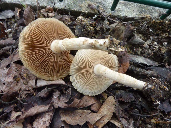 P1130402.JPG