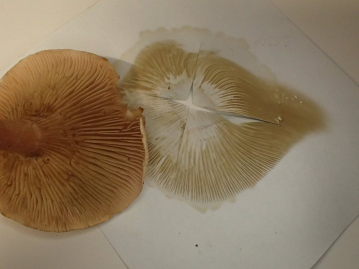 PB036983.JPG