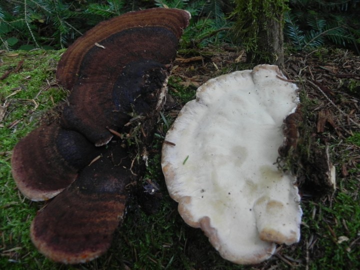 DSCN9219.JPG