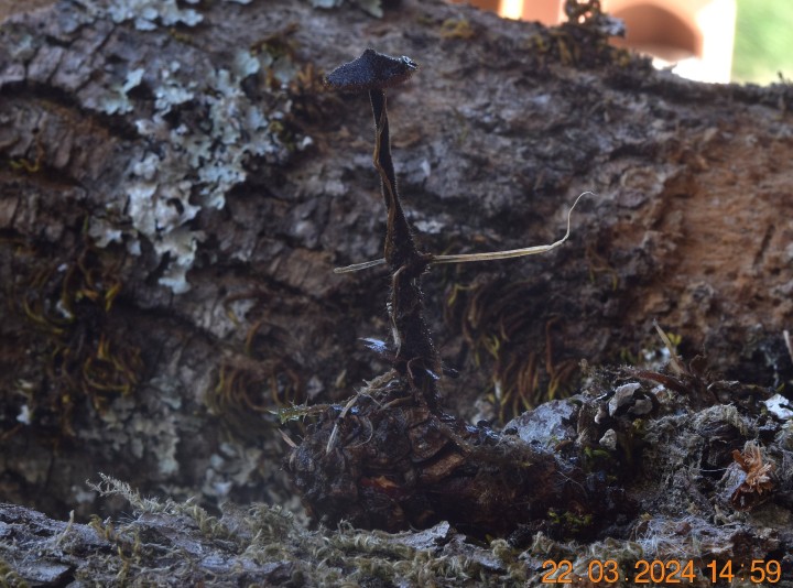 DSC_3916.JPG