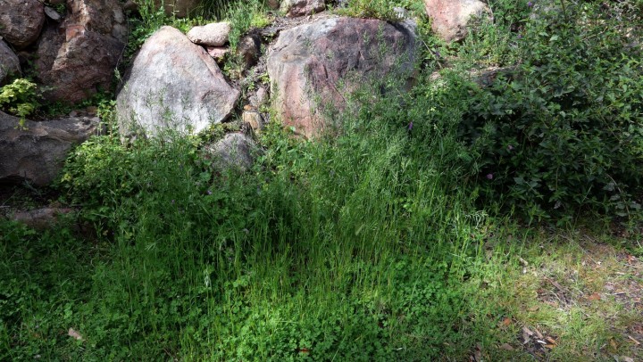 Cliquer sur l'image pour agrandir