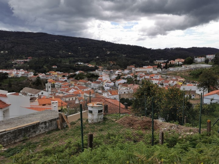 IMG_20240320_125817.jpeg