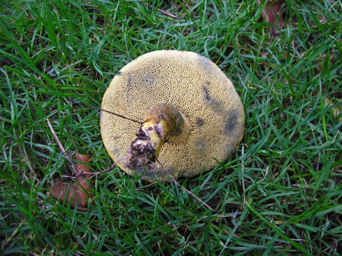 P6150019.JPG