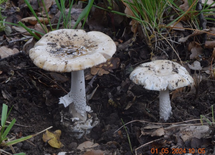 DSC_3940.JPG