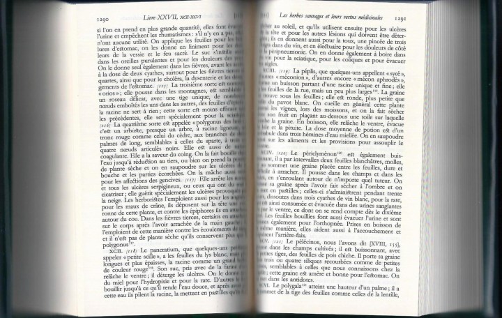 Cliquer sur l'image pour agrandir