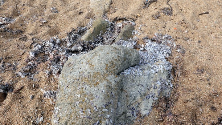 Cliquer sur l'image pour agrandir