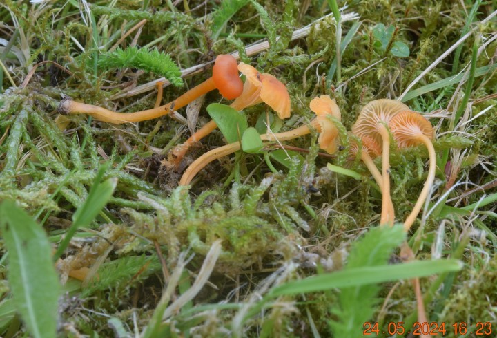 DSC_3992.JPG