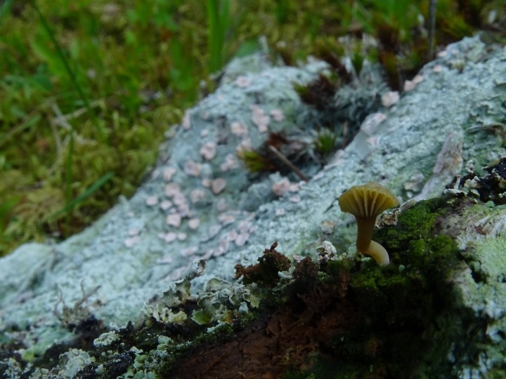 DSC05805.JPG
