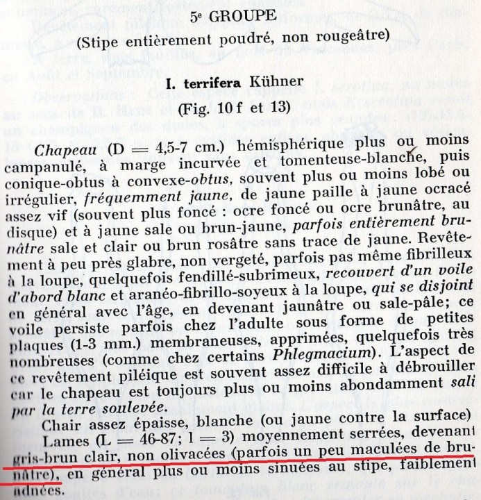 Kühner Compléments à la Flore Analytique.jpg
