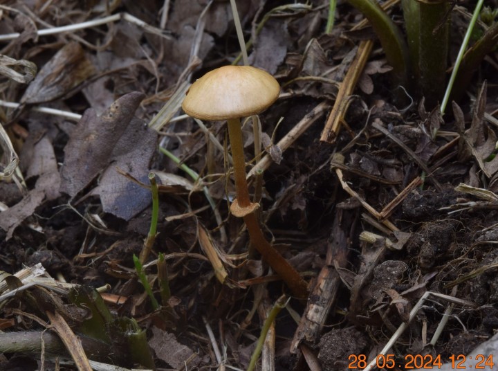 DSC_3997.JPG