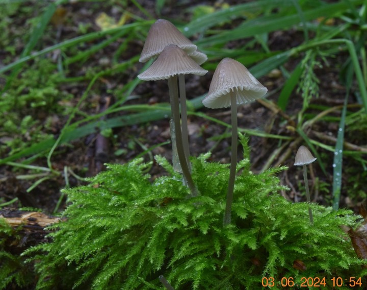 DSC_4027.JPG