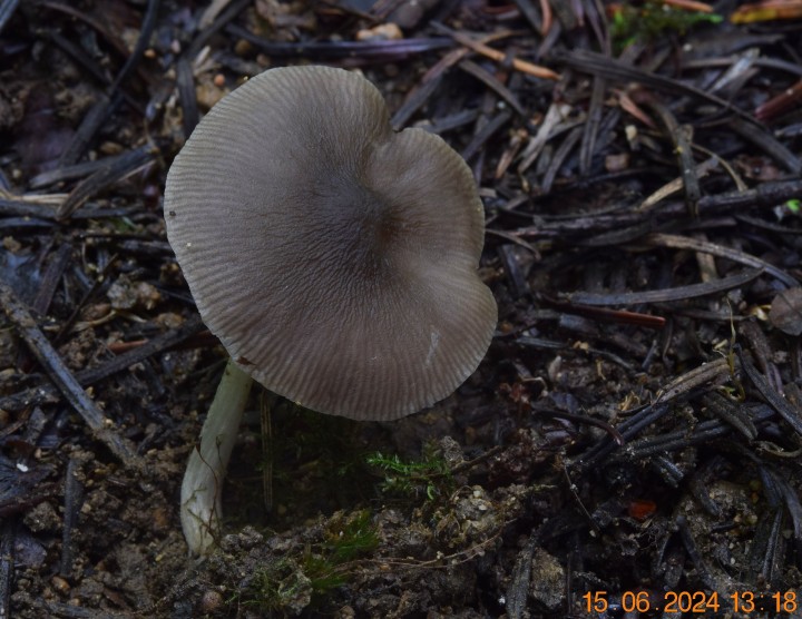 DSC_4051.JPG