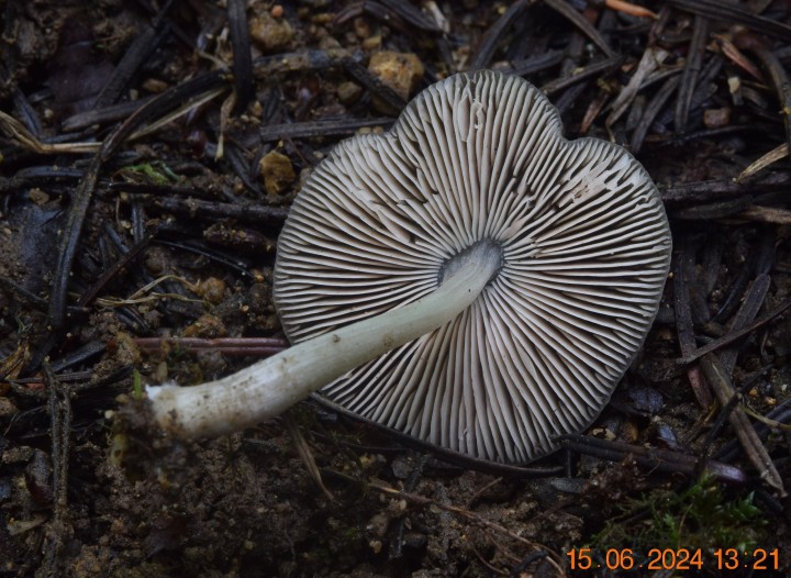 DSC_4054.JPG