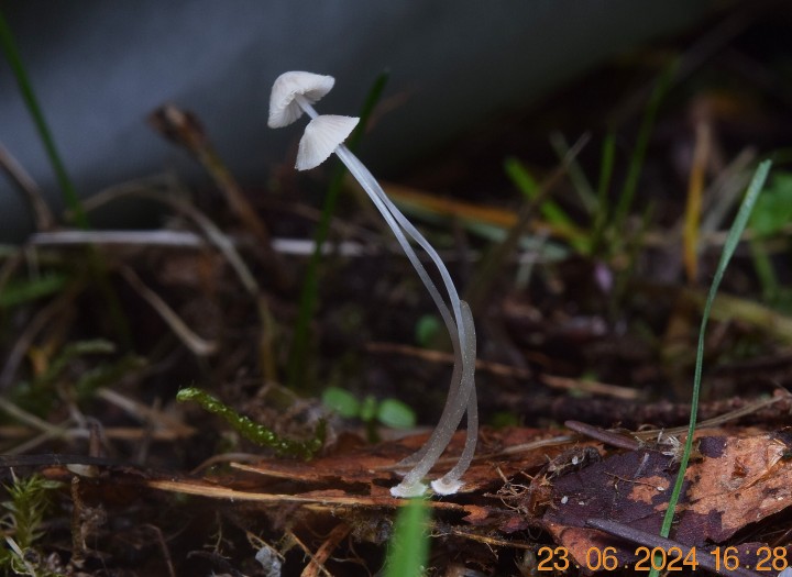DSC_4076.JPG