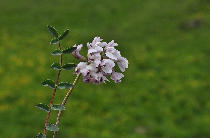 DSC_0136.jpeg