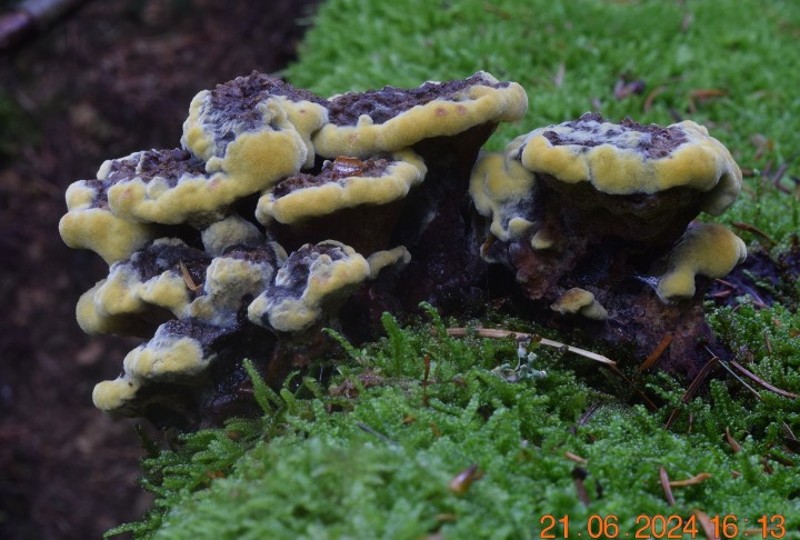 DSC_4072.JPG