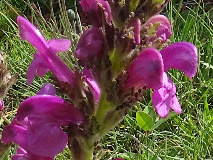 DSC05945a.JPG