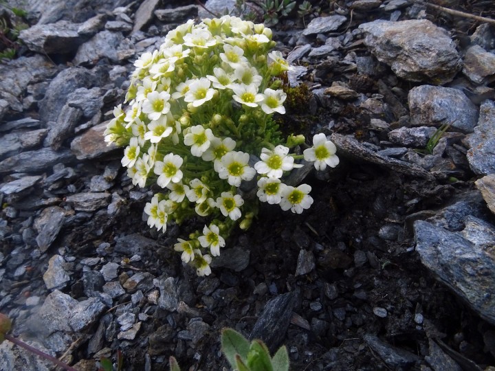 DSC05978.JPG