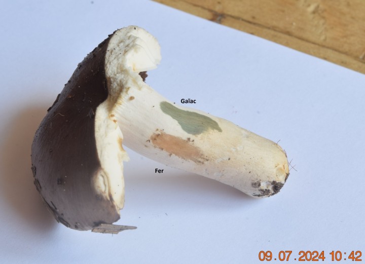 DSC_4113.JPG