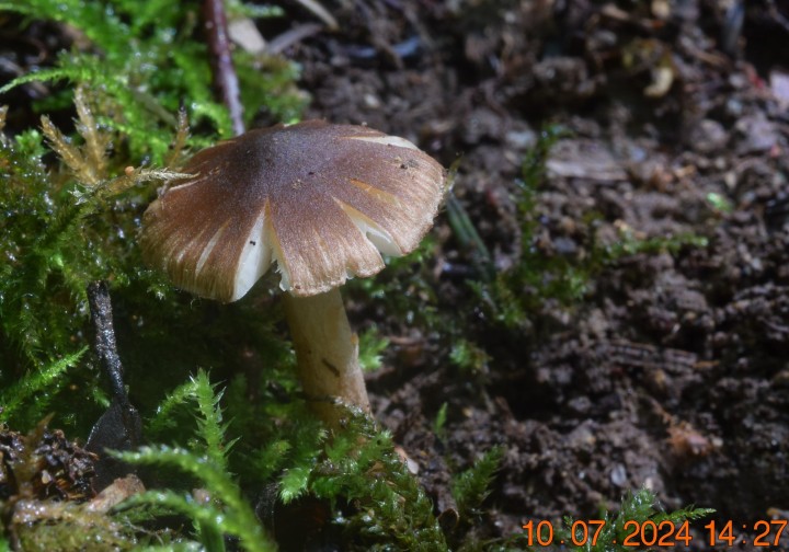 DSC_4123.JPG