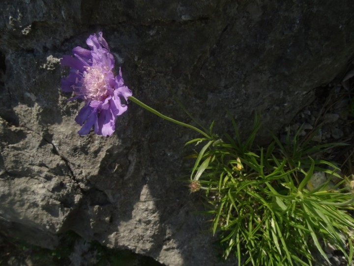 DSC06000.JPG
