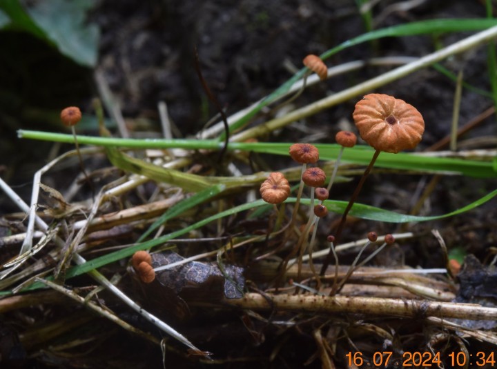 DSC_4131.JPG