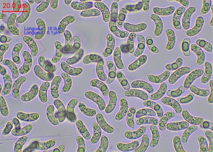 sp-003.jpg
